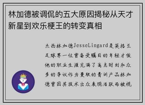 林加德被调侃的五大原因揭秘从天才新星到欢乐梗王的转变真相