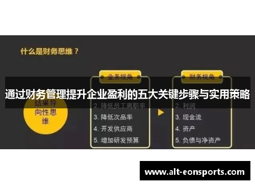 通过财务管理提升企业盈利的五大关键步骤与实用策略 通过财务管理提升企业盈利的五大关键步骤与实用策略