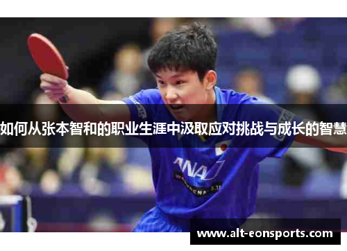 如何从张本智和的职业生涯中汲取应对挑战与成长的智慧